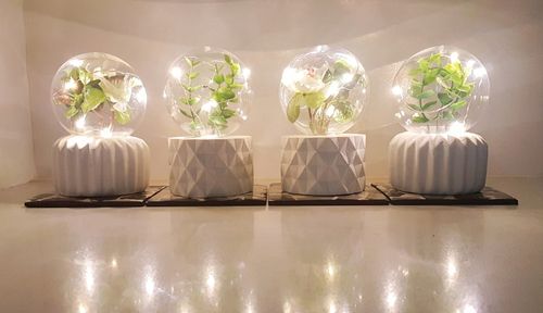 Luxa Plant Lamps